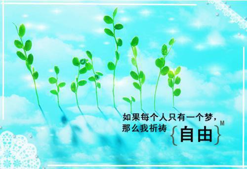 新上《未婚神医爸爸》红木筷子小说免费阅读