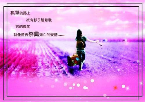 穿书后我独宠太子爷莫晚君辰夜 穿书后我独宠太子免费阅读