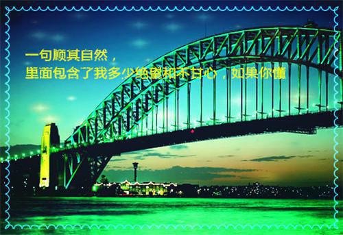 小说暗龙夜王第2章精选阅读