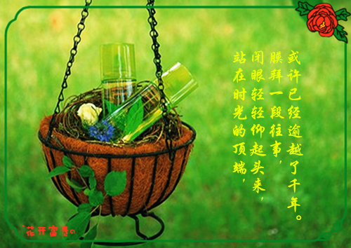 御兽：我能无限复制合成小说全文免费阅读_御兽：我能无限复制合成阅读