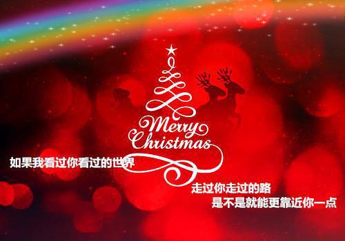 契婚娇妻宠入怀「精彩小说」乔御琛安然免费阅读