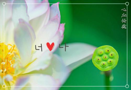 只为下一次别离小说完整版 林慕辰柳心慧许凝兮在线阅读