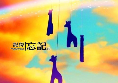 薄爷夫人太飒了慕时念薄浅 薄爷夫人太飒了小说免费阅读
