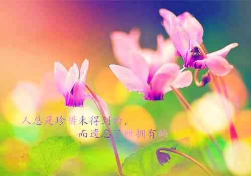 欧总甜蜜温柔妻佟小曼 欧总甜蜜温柔妻小说完整版