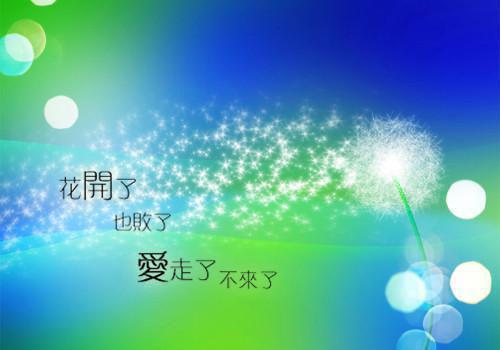《慕少前妻太受欢迎》完结小说(全文在线阅读)