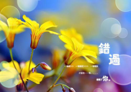 昆虫记读后感怎么写