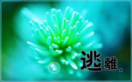 冯骥才：快手刘