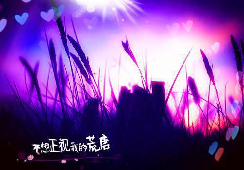 意外穿成了渣王爷顾锦言司徒诀 意外穿成了渣王爷免费阅读