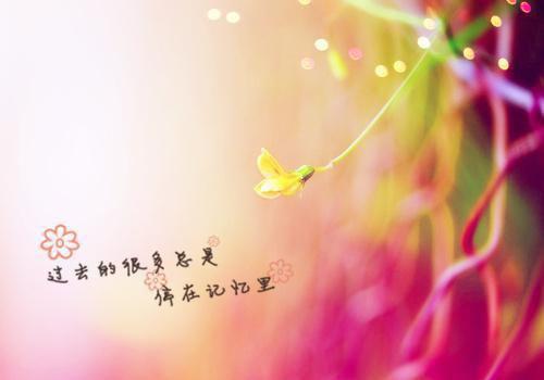 秦天叶若兰小说《镇北之王》周大少作品章节阅读