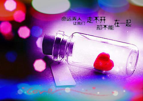 新婚夜植物人老公睁开眼了门楣喜小说（完整版）阅读
