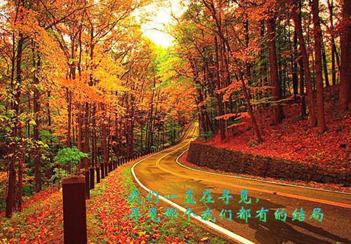 经典语录：喝醉了才知道你最爱谁，生病了才知道谁最爱你