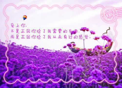 你的骄傲小说电竞文夏霜霜纪寒凛无弹窗阅读
