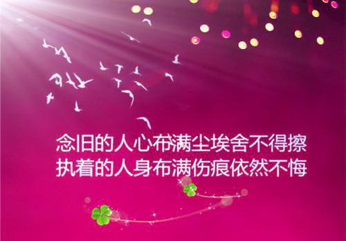 都市小说薄少老婆太秀了章节目录阅读