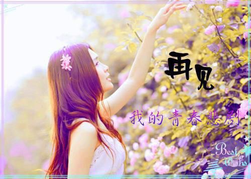 关于阿谀奉承的格言