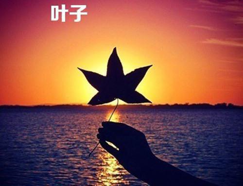 夜半相思无人知小说(现言)沈念安霍辞深全章节阅读