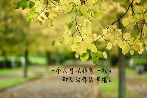 《芈月传》读后感