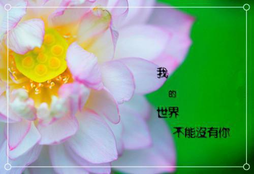 毕淑敏：人生有三件事不能俭省