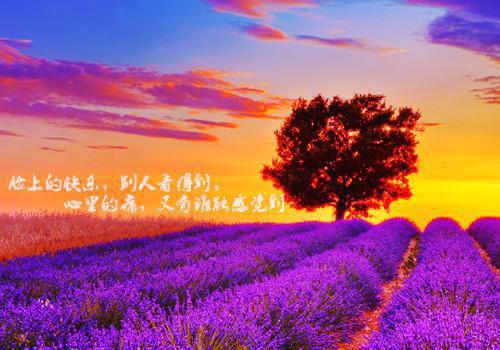 龙族白锦瑟,龙煜全文完结版小说阅读