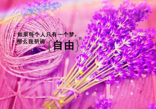 江辰西苏樱小说 你我之间隔光年江辰西苏樱在线阅读