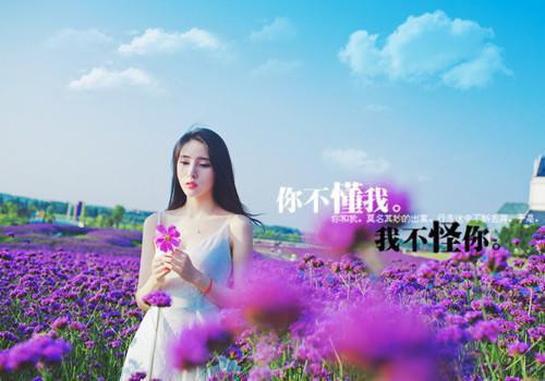 枭宠：总裁夫人超甜的精彩小说(九尾银鱼)全章节阅读