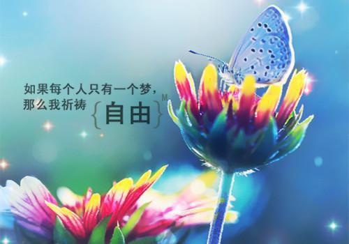 小菊的秋天经典台词