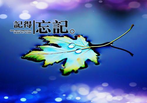 最后一分钟读后感400字