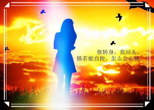 天降王妃：王爷撩上瘾by红草帽在线阅读