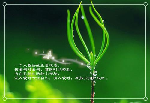 《不服春风烂漫晴》小说完整章节不服春风烂漫晴免费阅读