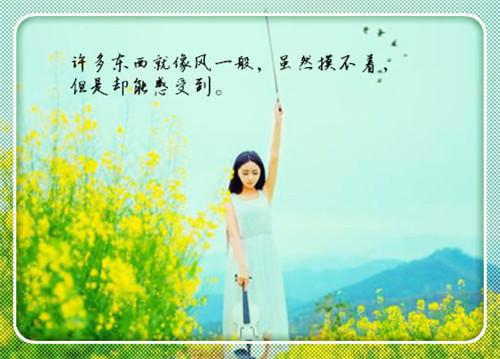 赞美李白的诗句