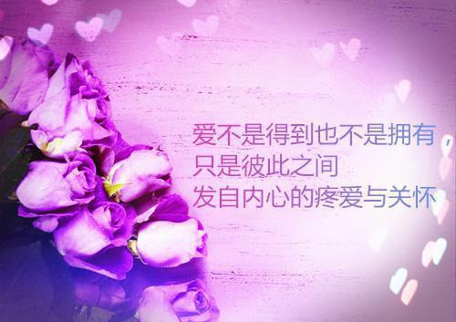 完结版小说季菲你就是活该全文免费阅读