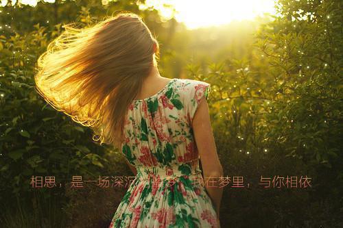 154764顾清隋御小说全文免费阅读
