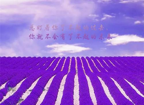 红糖姜茶热门小说（陆时禹姜淼）全文阅读