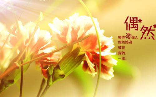 念你时初雪恰来晏淮宁霁 念你时初雪恰来小说全文在线阅读