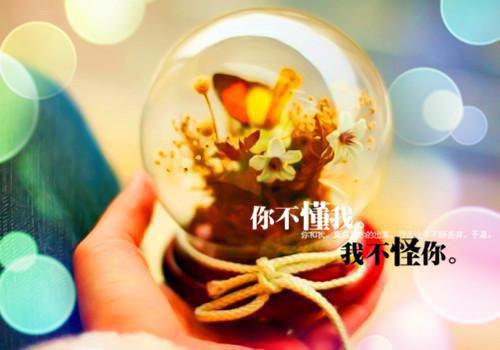 影帝每天打脸日常小说全文免费阅读