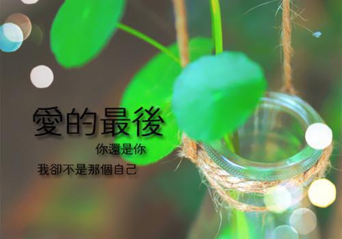 热文方茴沈礼小说分享-方茴沈礼无广告免费阅读