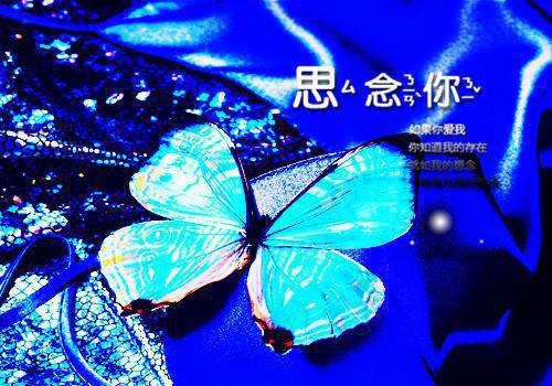 音乐鬼才王泽十步杀一仙小说全章节最新阅读