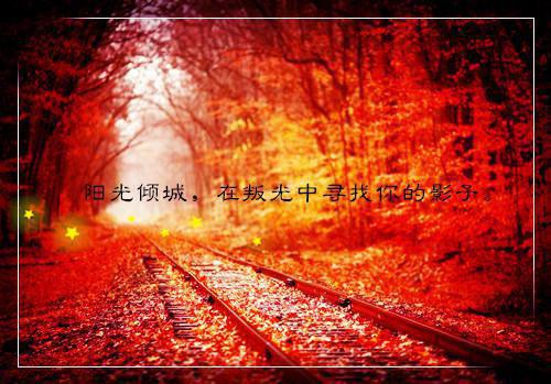 八零年代福妻驾到小说程婉容陈婉容杨禹林在线阅读
