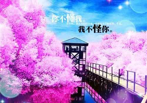 偏执大佬的小祖宗奶甜奶软甜甜的小说最新章节阅读