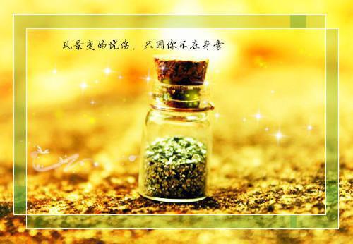 冷情陆少宠罪妻锦良最新小说全文阅读