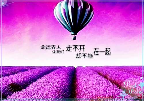 甜蜜侦情全文小说徐幼菱叶嘉泽最新章节阅读