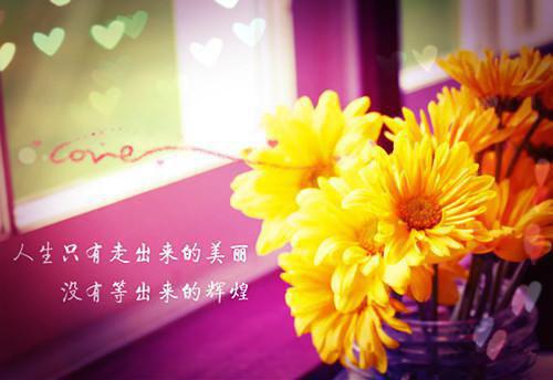 帝少娇妻爱玩心跳苏瞳小说 甜宠苏瞳陆寒时全文阅读
