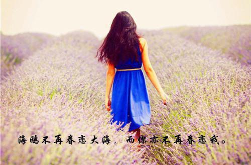 至尊强龙小说by纸扇江晟乔梦然目录阅读