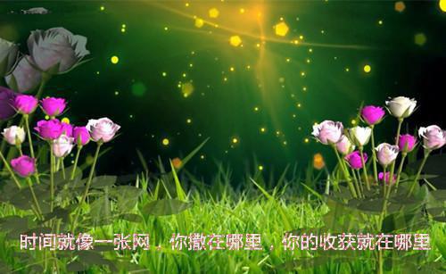 有关朋友的语句