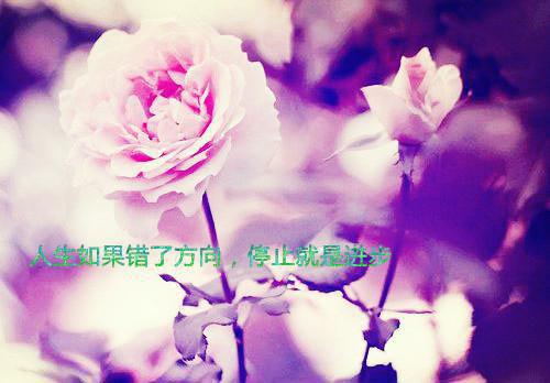 陈子平系统小说 陈子平完美男神系统免费阅读