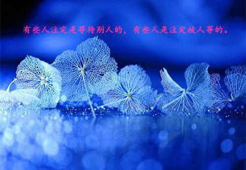 有关男人的经典语录