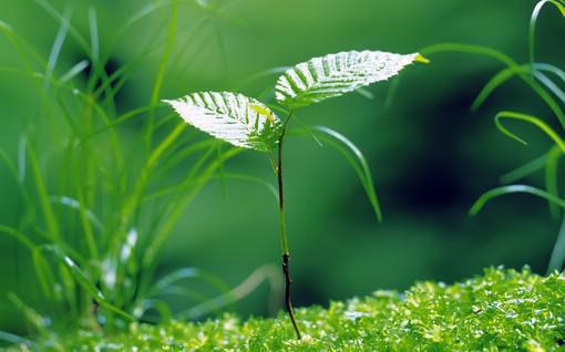 《大唐贞观：我在古代当奶爸》小说完整章节大唐贞观：我在古代当奶爸免费阅读