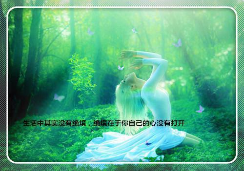九千岁独宠神医娘亲全文小说全章节目录免费阅读