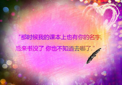 澜笙的小说禁欲总裁与野玫瑰舒念顾云深全文阅读
