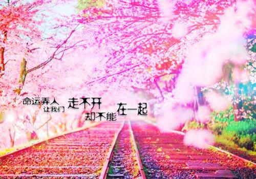 完结文失忆后我和端王爷和离了小说赵舒宁谢长霁阅读