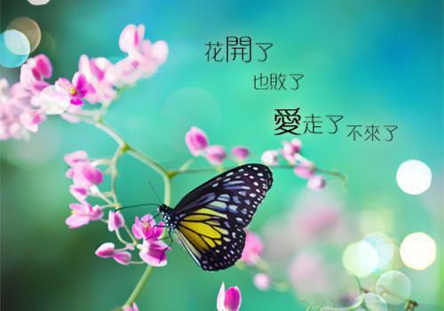重生盛宠误惹腹黑王爷韦思蓓司空博旻全本免费小说目录试读